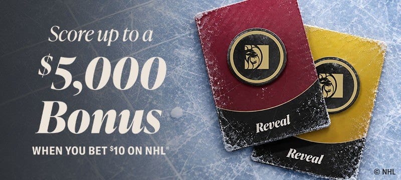 NHL® Pick-A-Puck